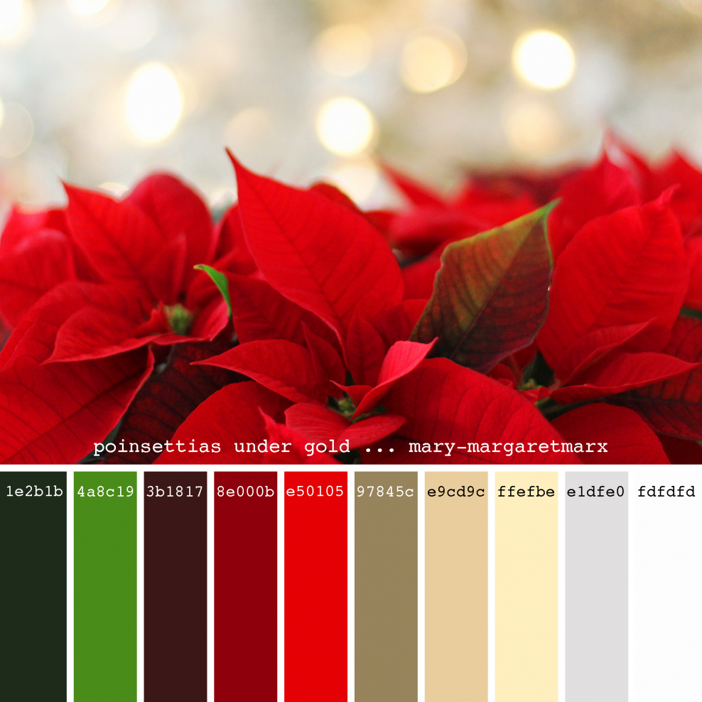 Цветовая палитра с красным цветом