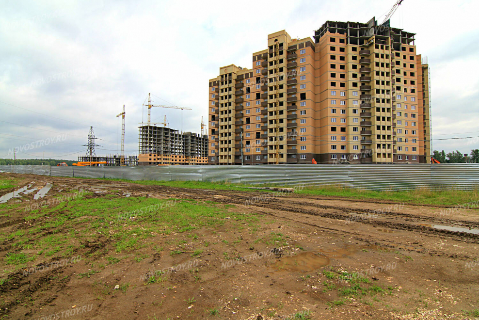 Сады в Лукино_Варино