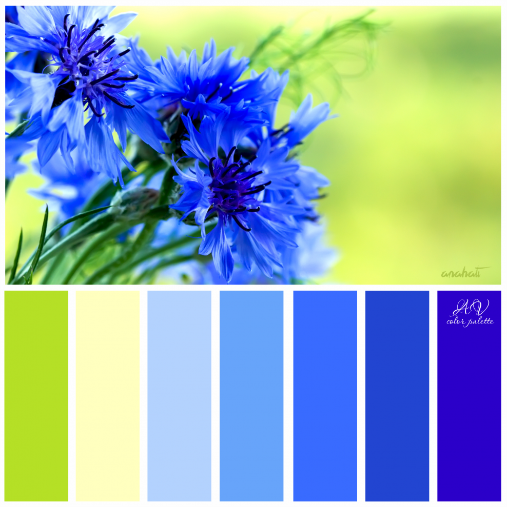 Палитра цветов синий