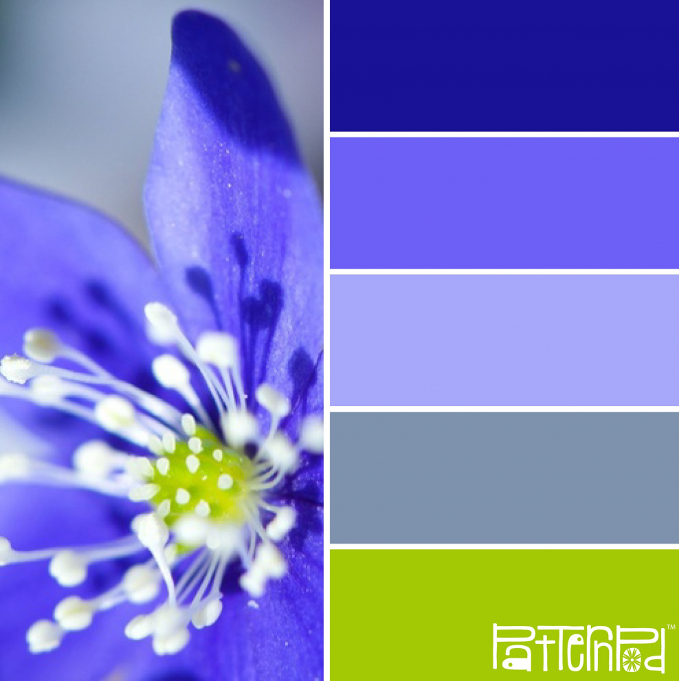 Палитра сочетание цветов васильковый