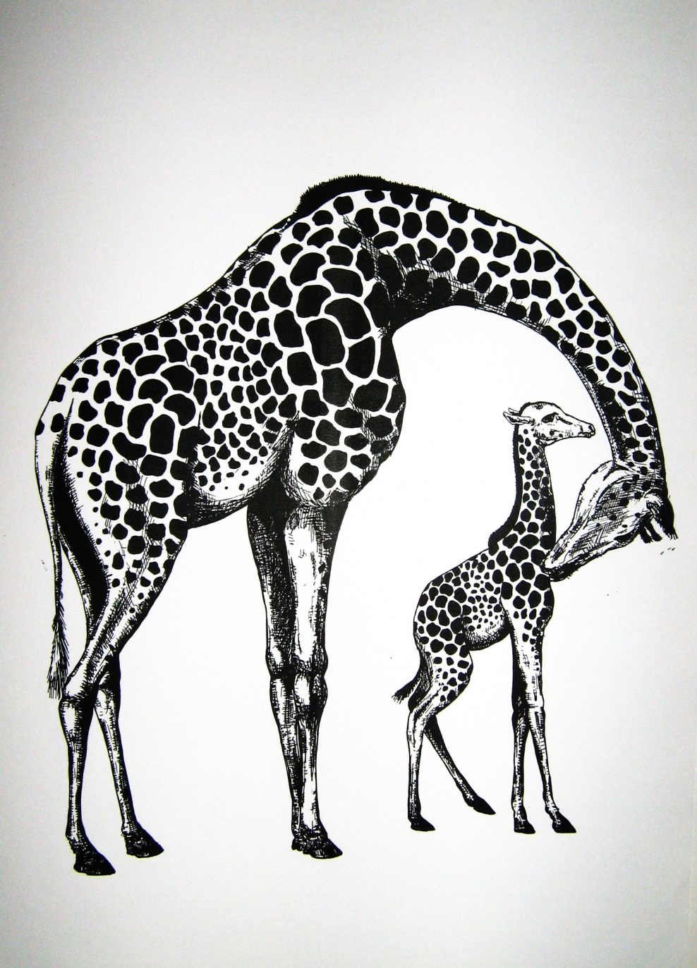 Стилизация животного