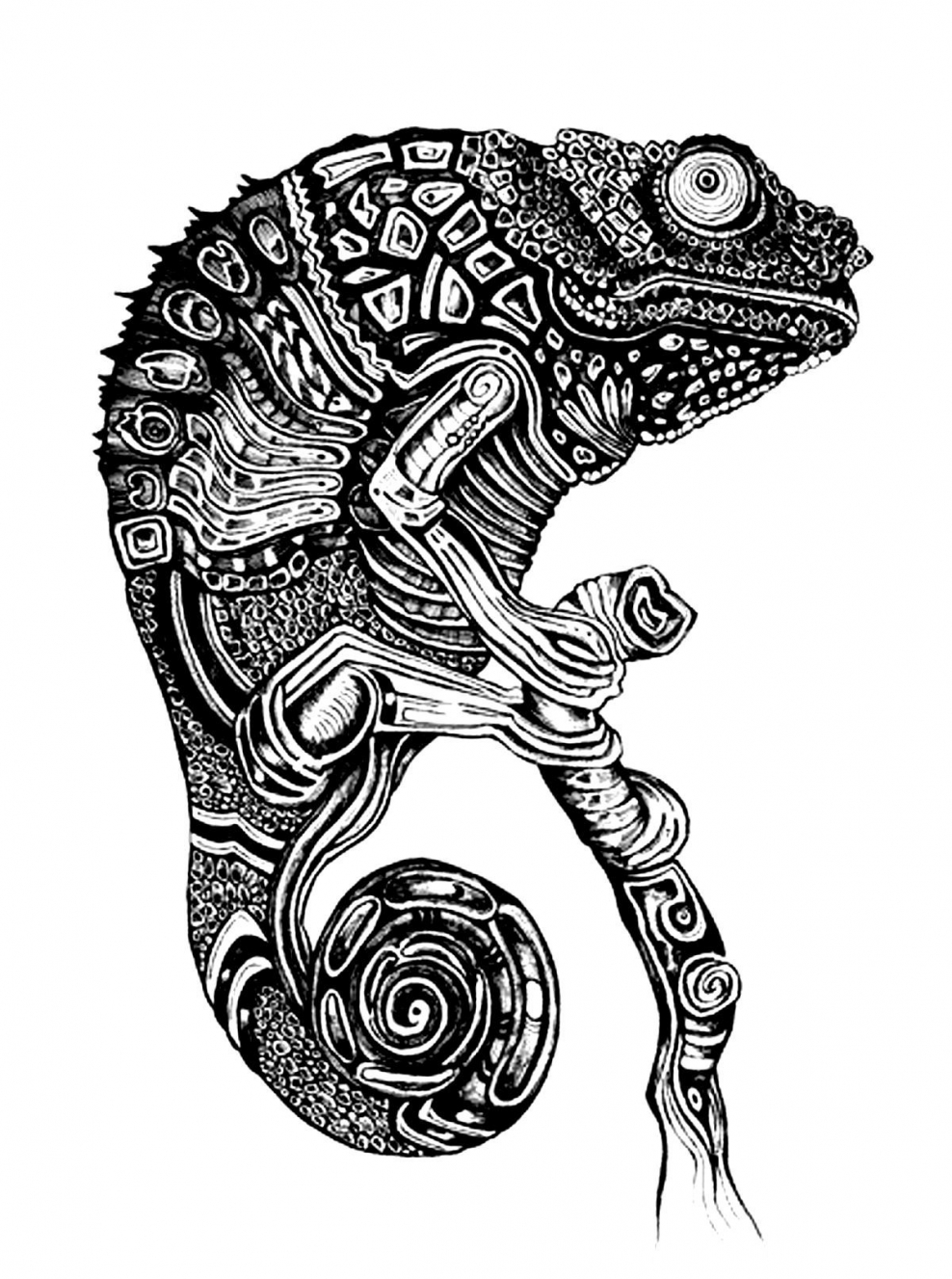 Хамелеон Зентангл