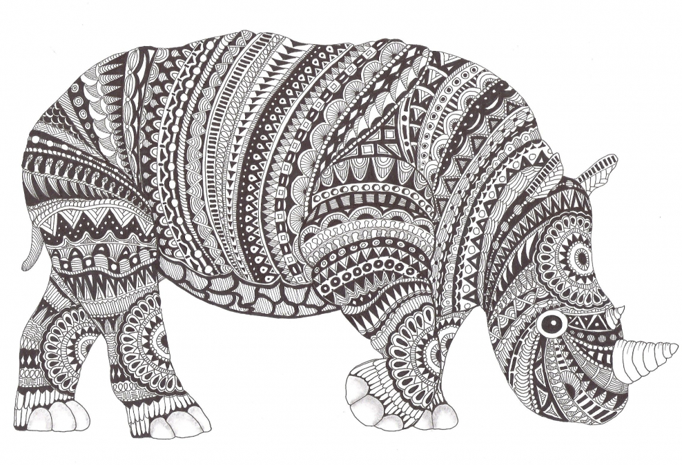 Черепаха зенарт