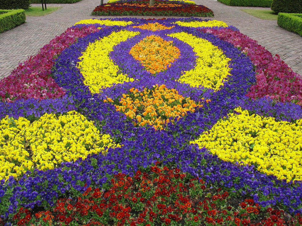 Партер в регулярном стиле