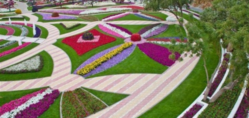 Узоры из цветов на клумбе