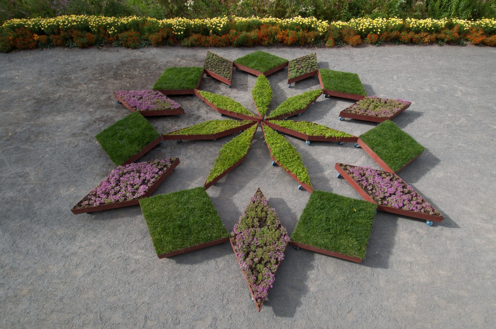 Необычные клумбы из цветов