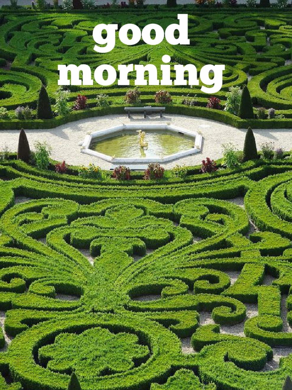 Рабатка Версаль