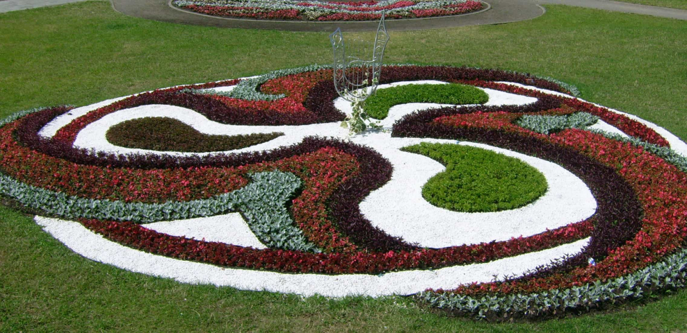 Ковровая клумба