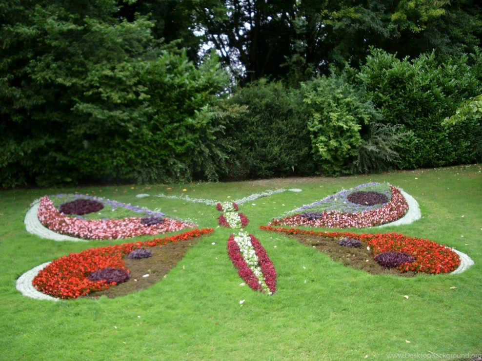 Клумба в виде солнца