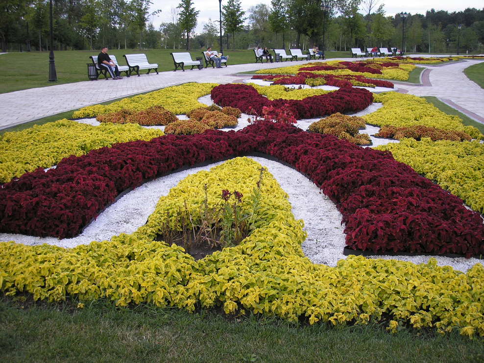 Версальский парк цветы