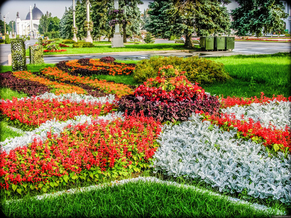 Клумбы парк Победы Санкт Петербург