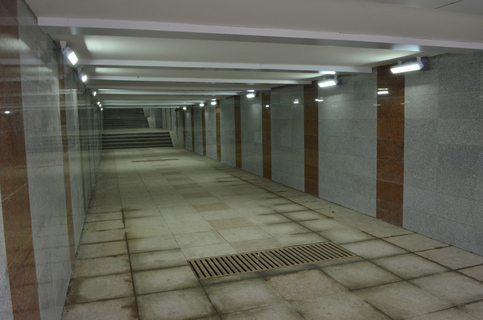 Рулонные ворота Дорхан