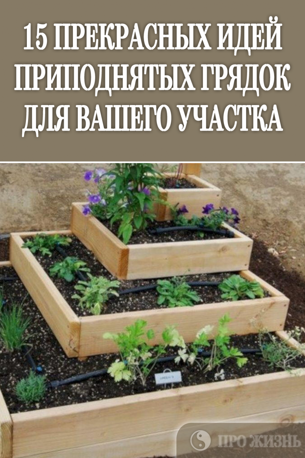 Ярусные грядки