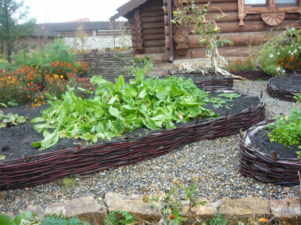 Ограждение огорода декоративное