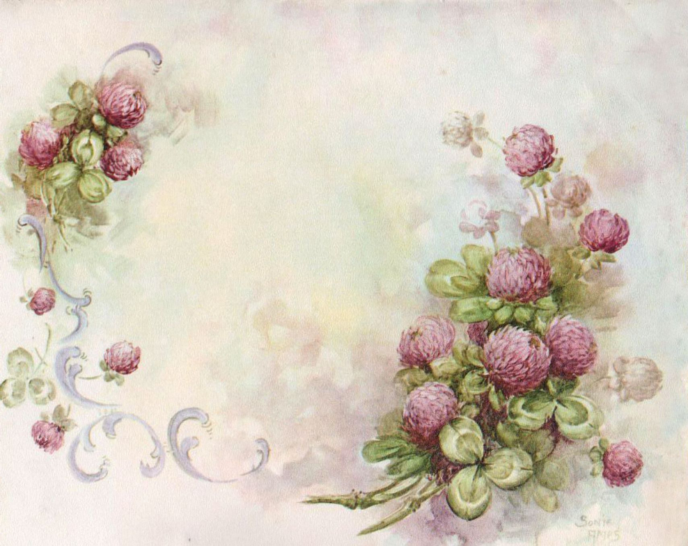 Художник Sonie Ames