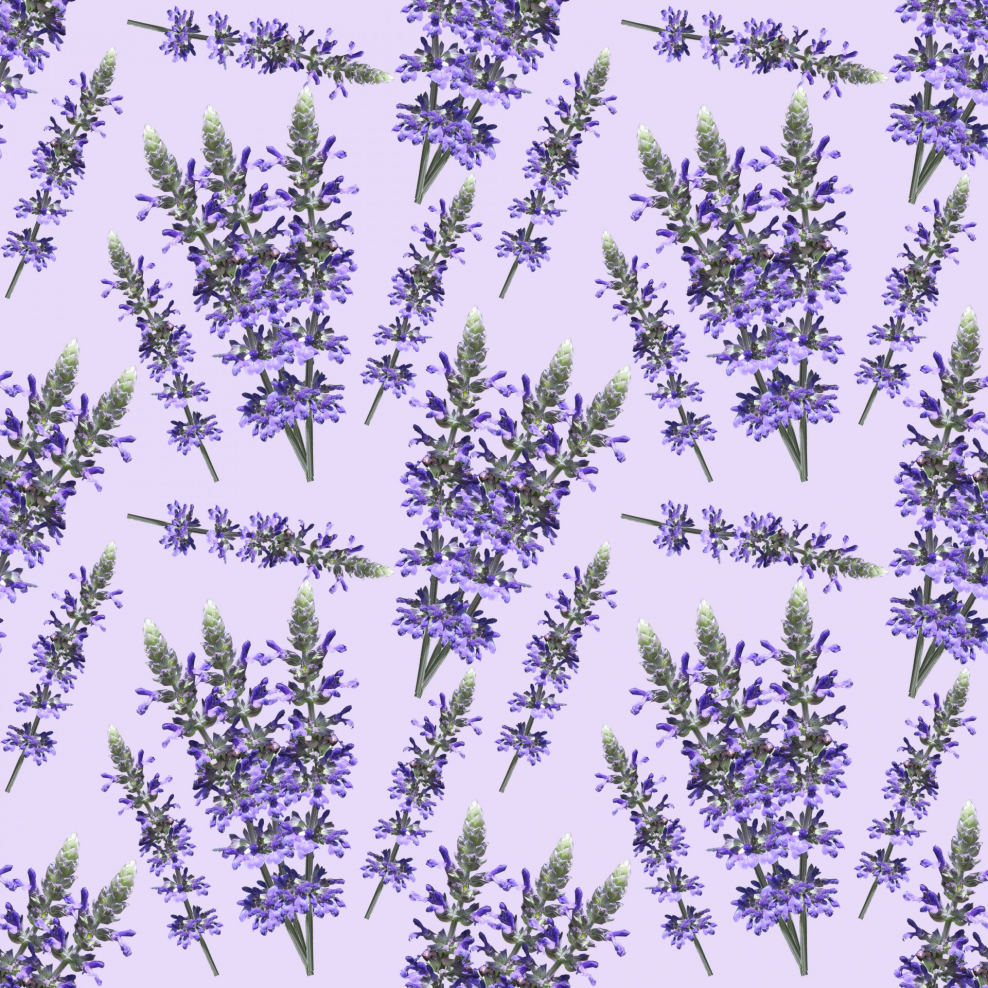 Лавандовый фон