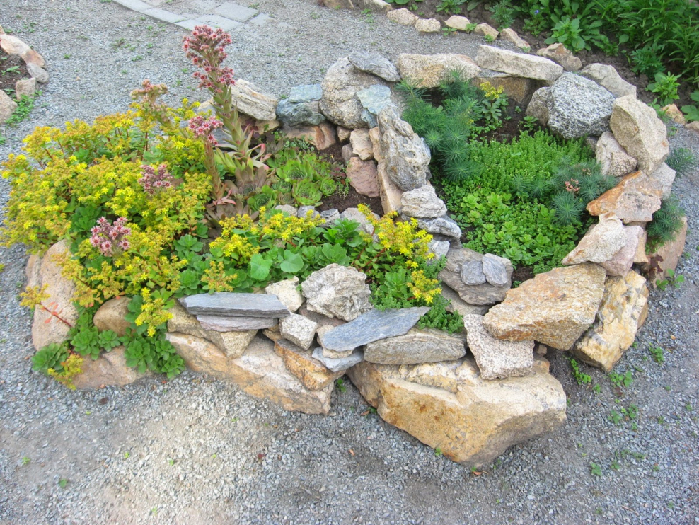 Маленькая Альпийская горка