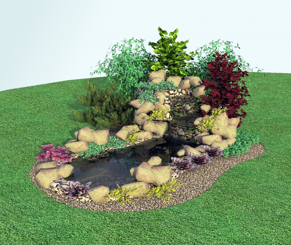 Дендроплан альпийской горки