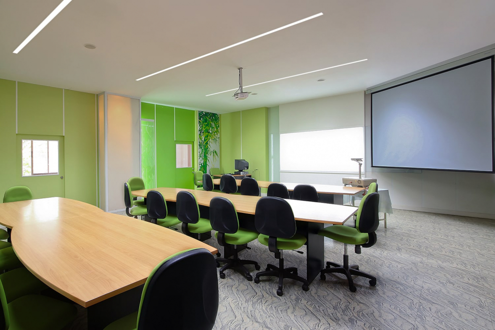 Офис салатовые стены