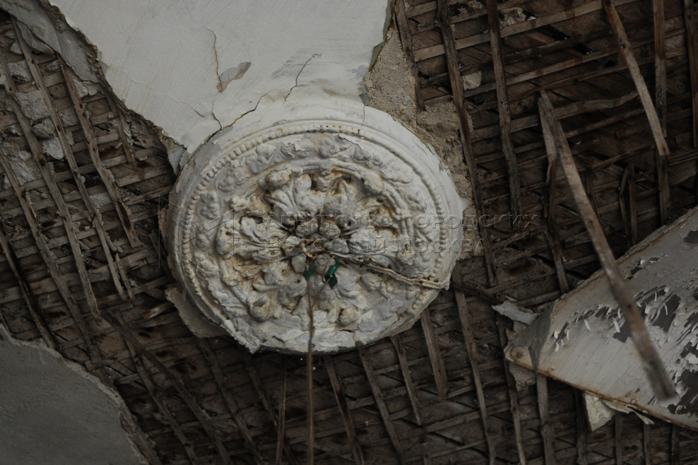 Дом абрикосовых внутри