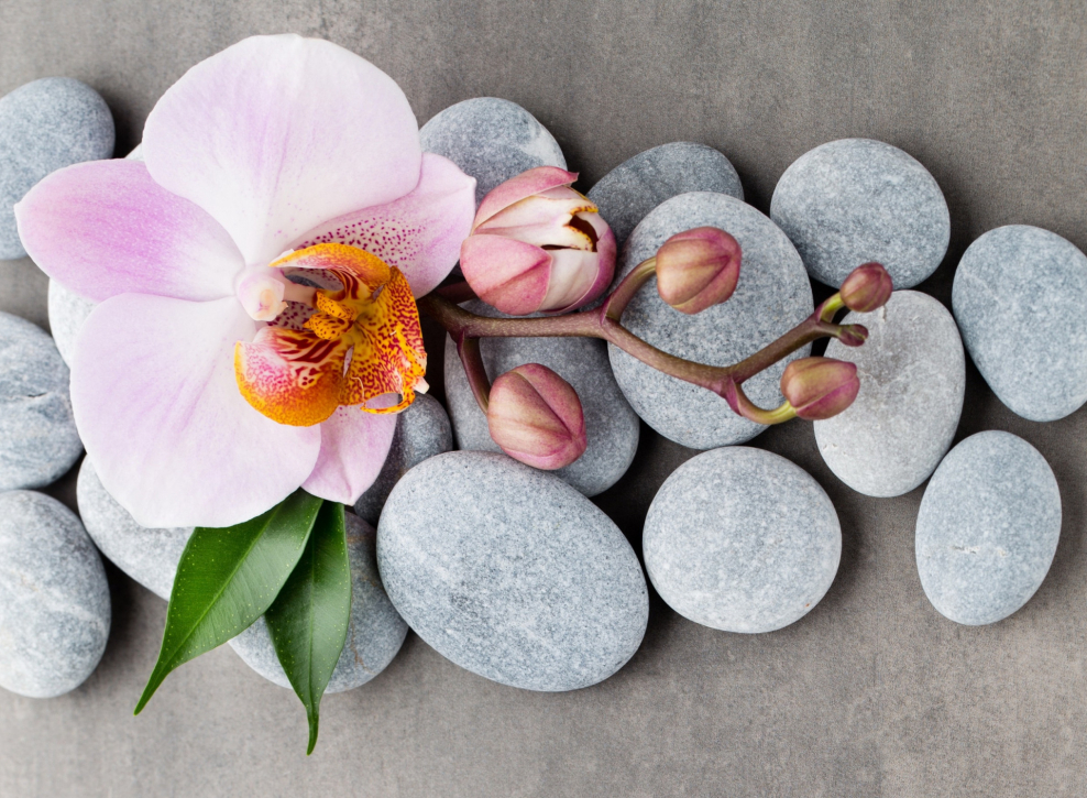 Affresco арт. Ab310-col2