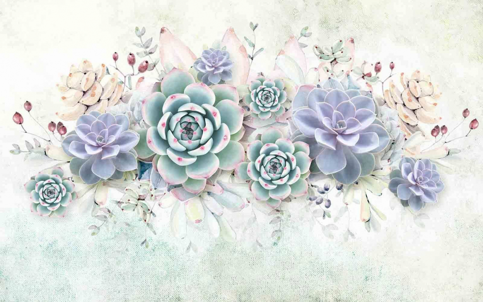 Фотообои Суккуленты