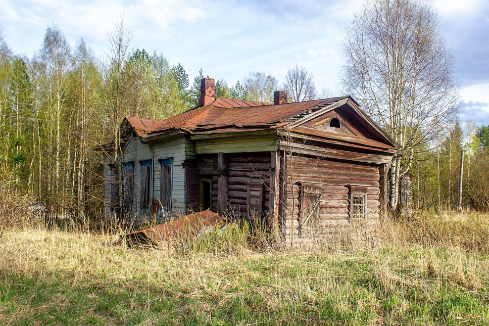 Дом Миллениум парк классический