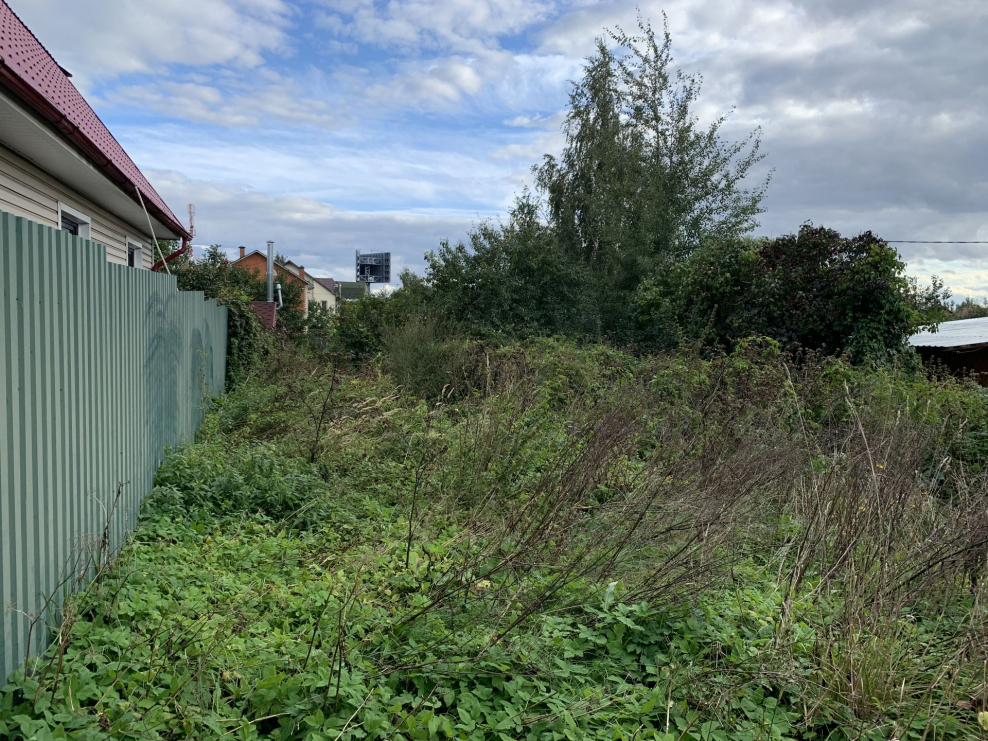 Соколов Гринвич