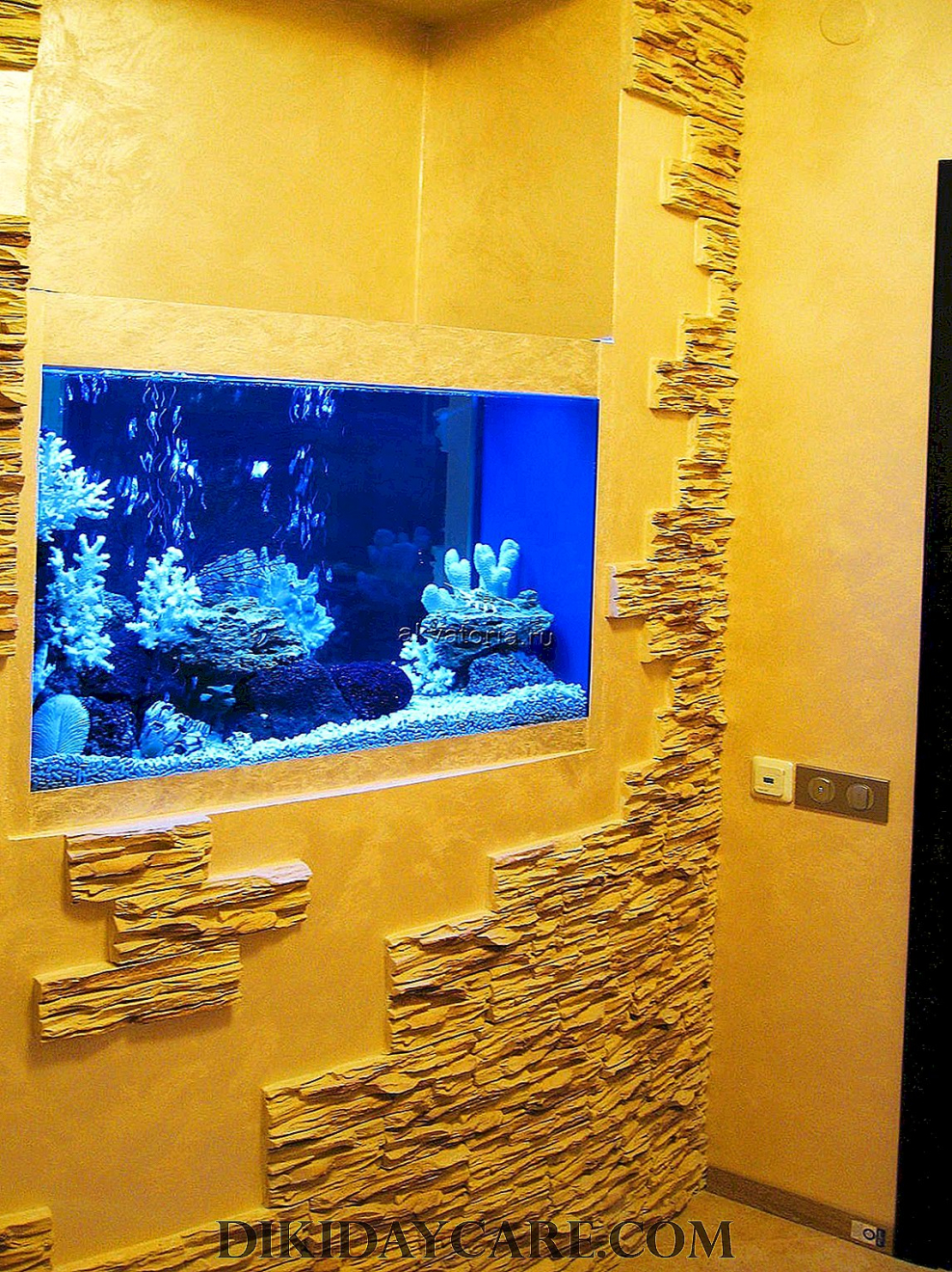 Аквариум в стене