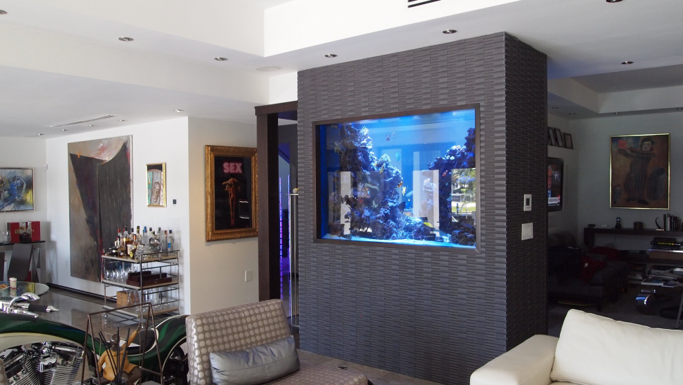 Аквариумы в стенах в гостиной