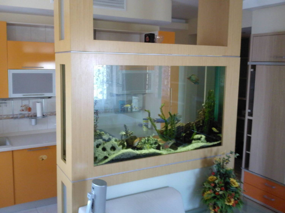 Аквариум в современном интерьере