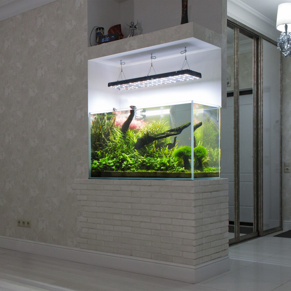 Аквариум вдоль стены