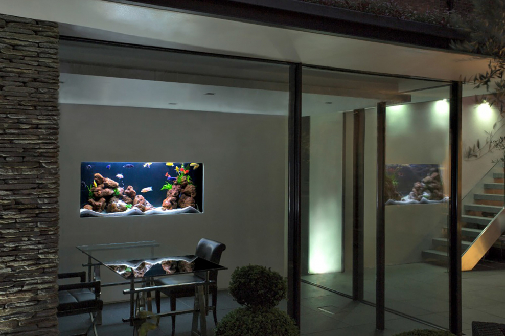 Зонирование аквариумом