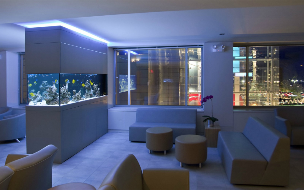 Аквариум в современном интерьере