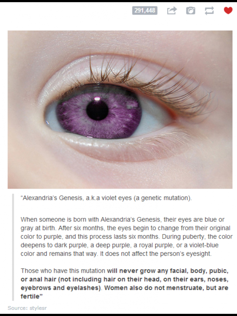 Пурпл колор