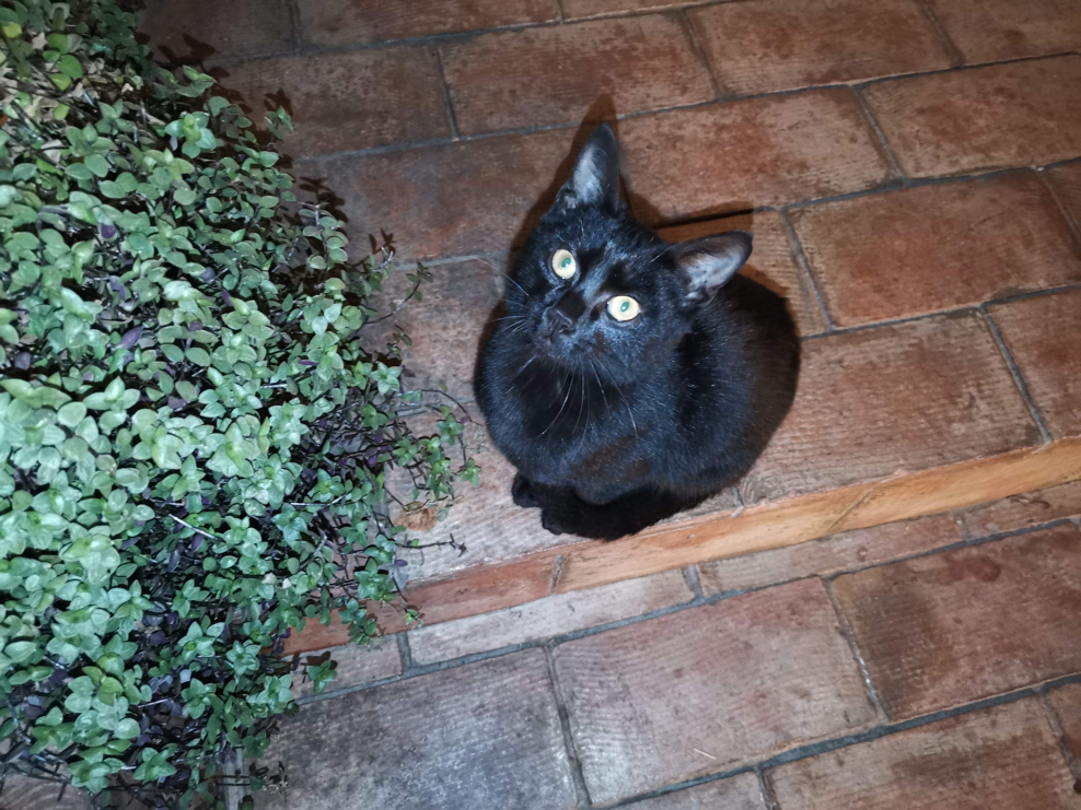 Придумать подзаголовок журнала ЖЖ