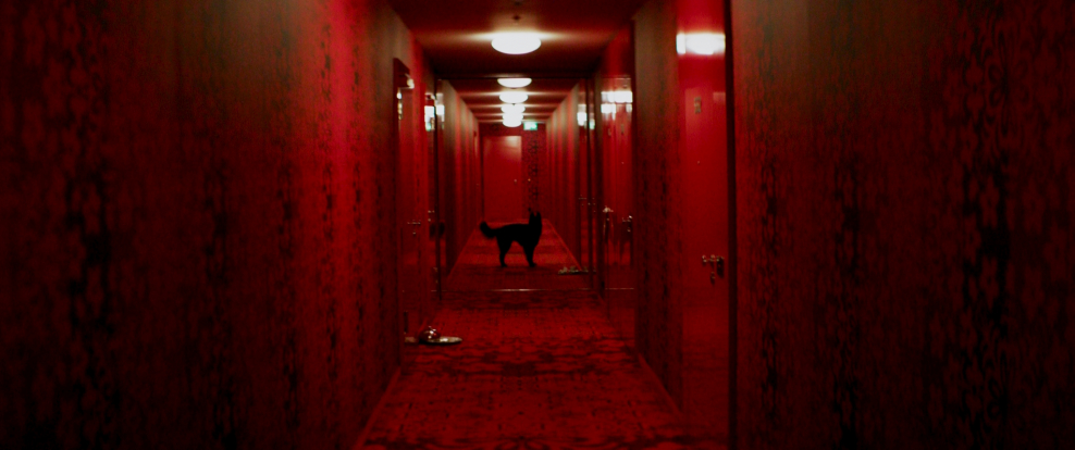 Коридор отеля хоррор