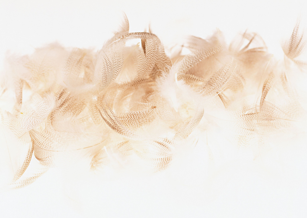 Бежевые перья