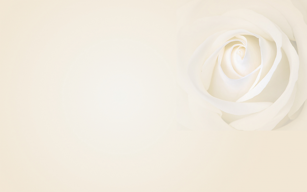 Бело кремовый фон
