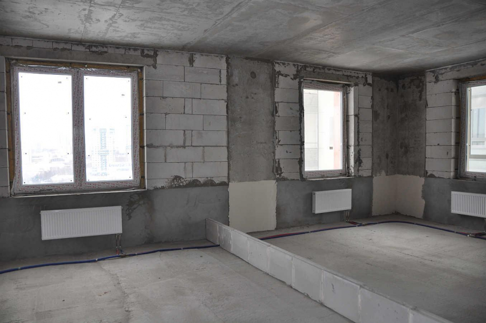 Ньютон черновая отделка