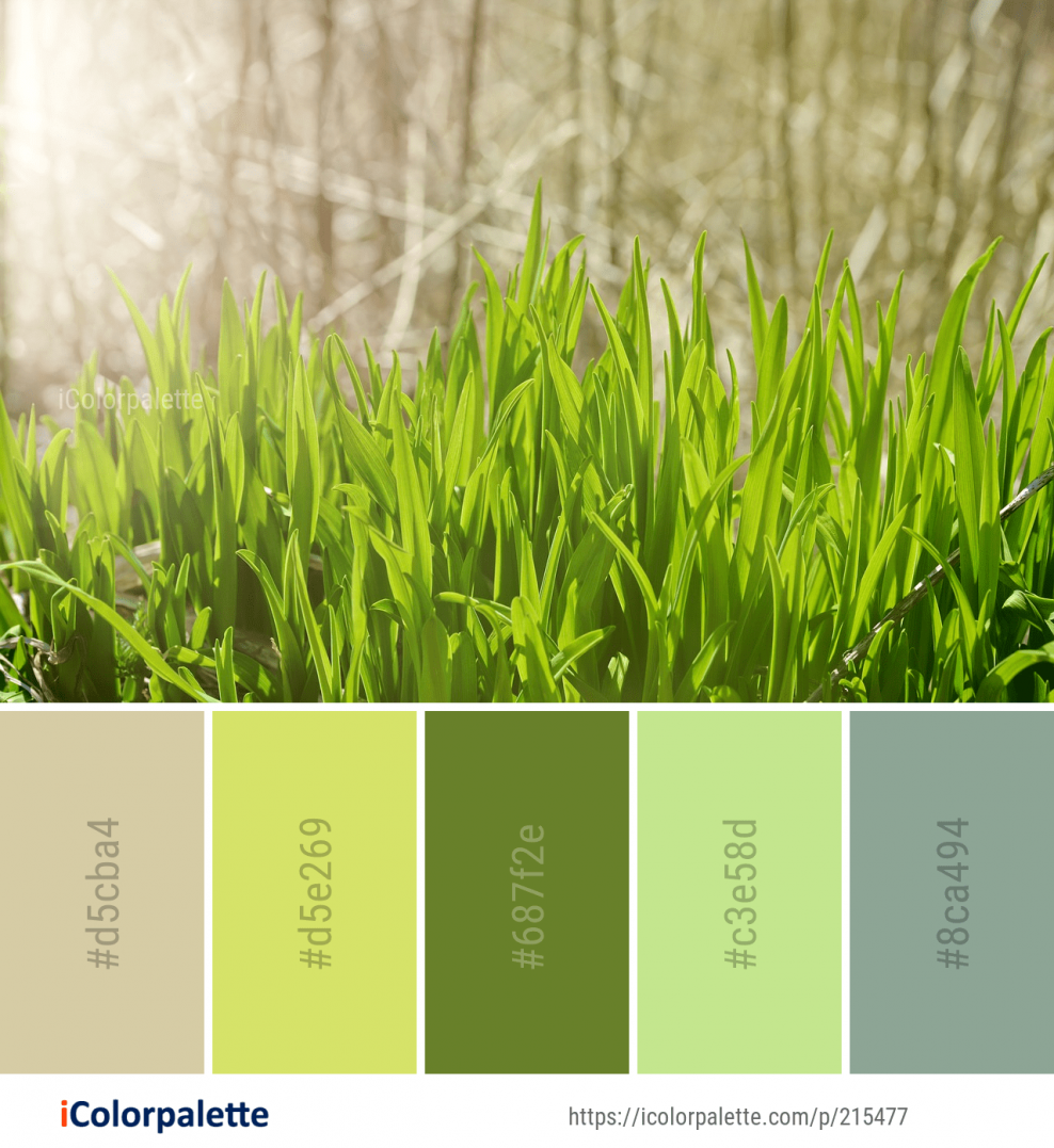 Палитра цветов с зеленым цветом