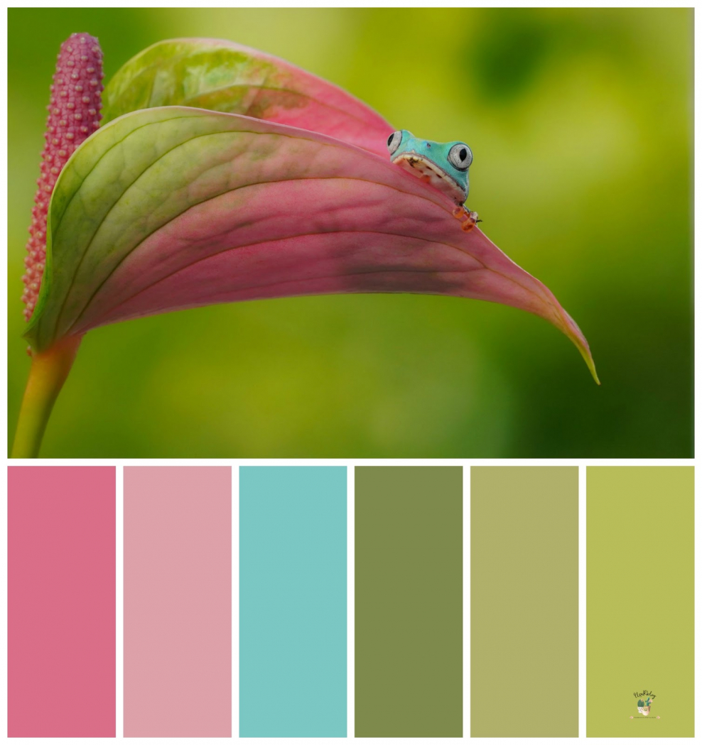Цветовая палитра салатовый