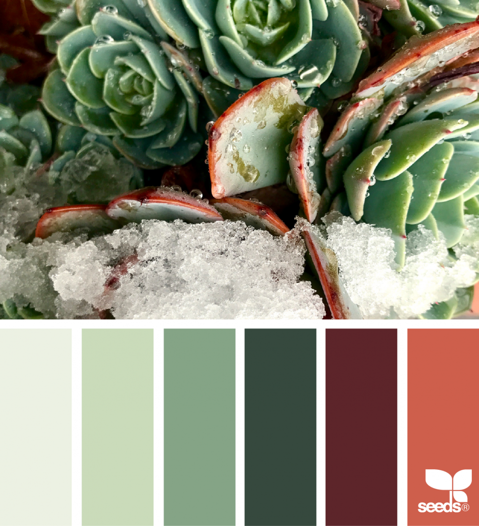 Палитра Сидс холодные зелёные