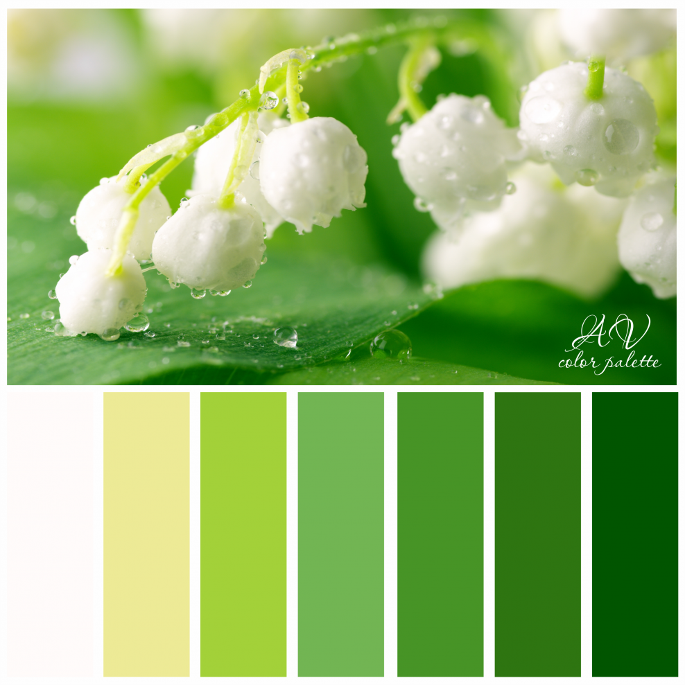 Зеленая палитра