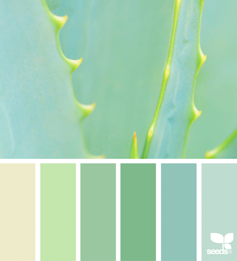 Пастельные оттенки зеленого