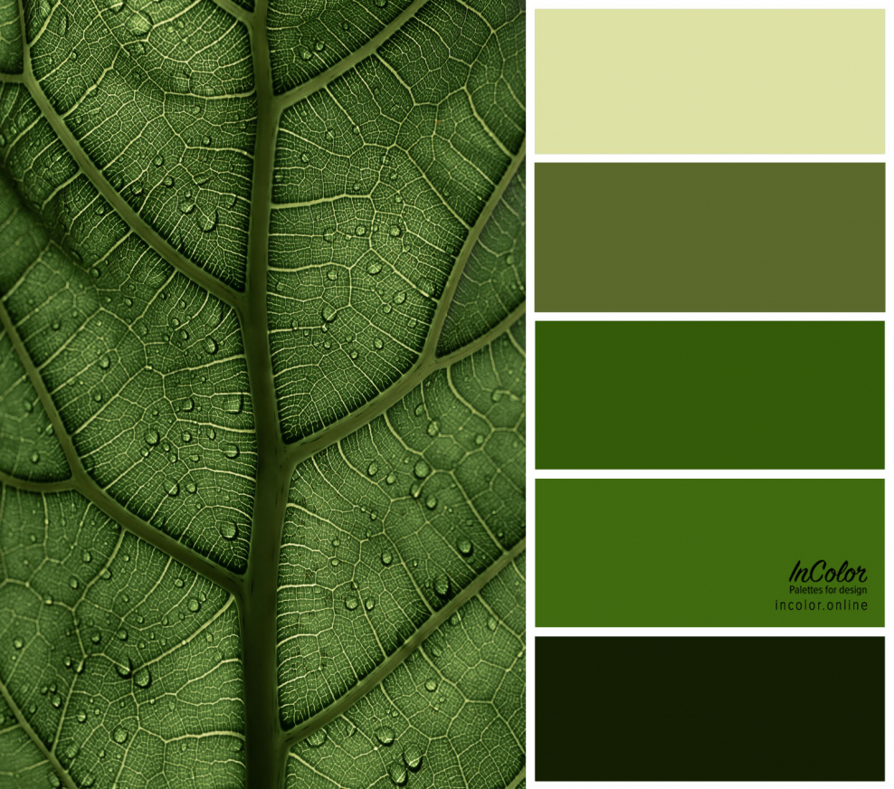 Болотный цвет палитра