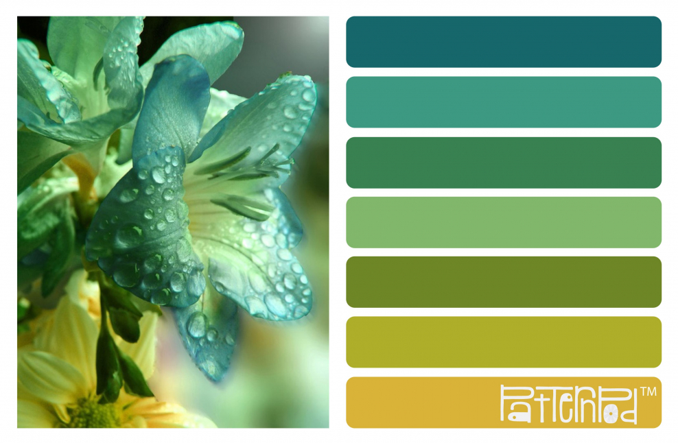 Красивый зеленый цвет палитра