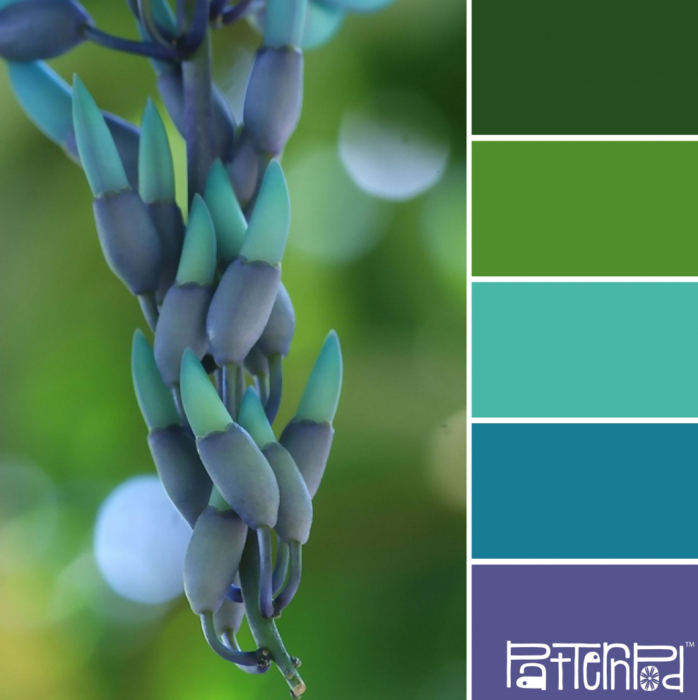 Палитра сочетания цветов зеленый