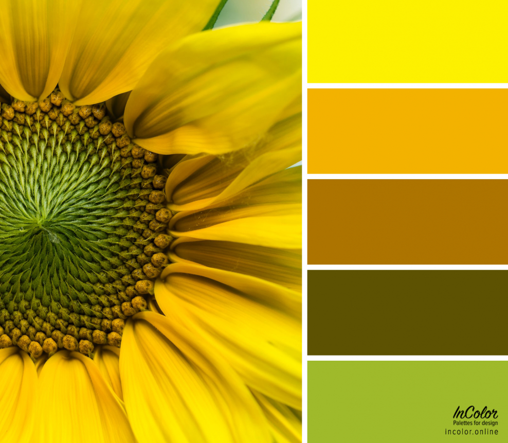 Палитра цветов