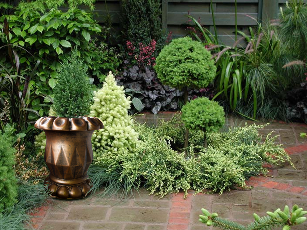 Композиции с можжевельником для вазонов